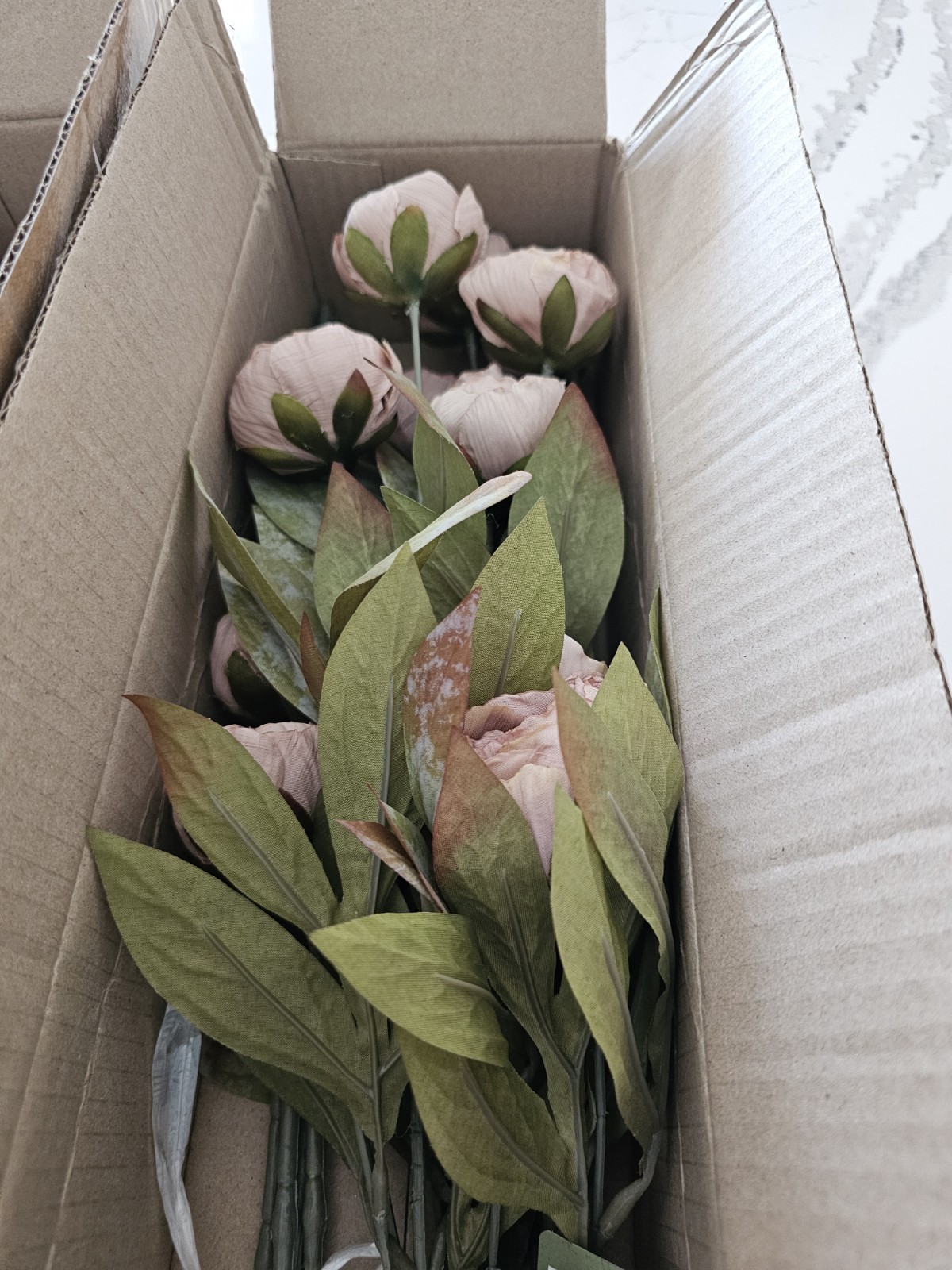 🔥 New in Box 8 Ashland Tan Peony 28″ Stems Michael’s Store VIRAL RARE!