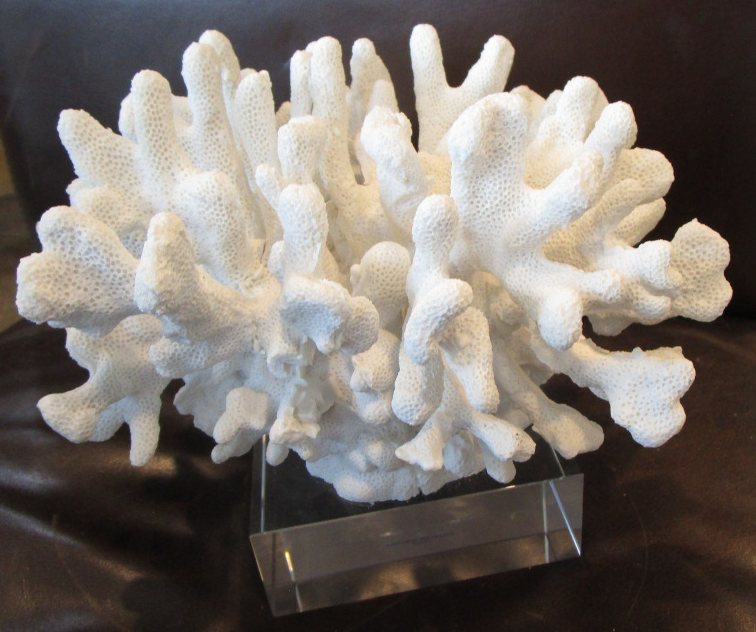 Williams Sonoma Resin Quartz cluster sculpture on glass base beach shell GUC