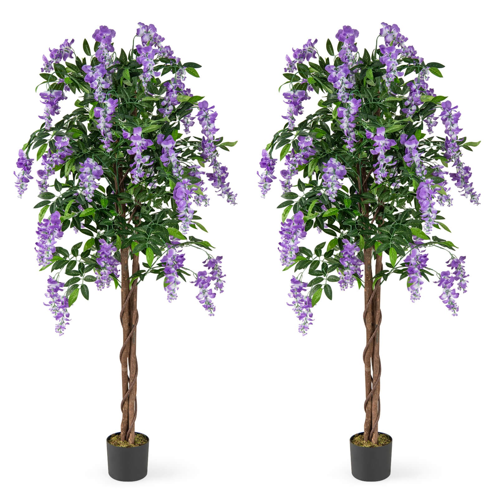 2 PCS 5.5 FT Tall Artificial Ficus Tree Faux Wisteria Plant in Nursery Pot