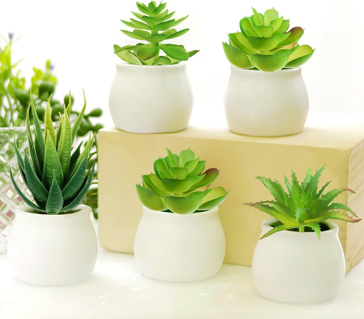 6Pack Mini Green Artificial Succulents Realistic Fake Cactus Tropical DIY Plants