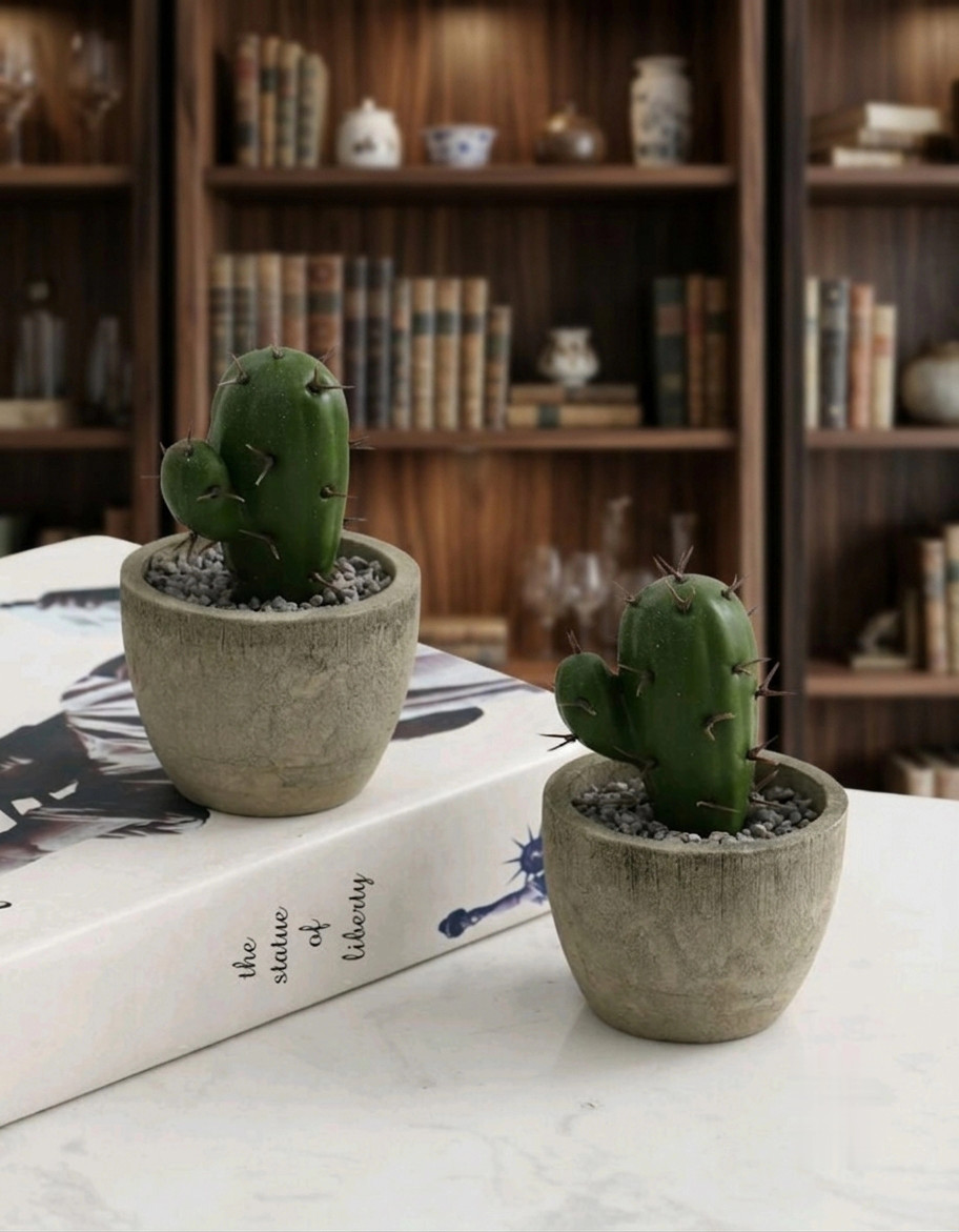 Faux Succulents with Pots – Perfect Gift for Valentine’s, Graduation, or Back-to