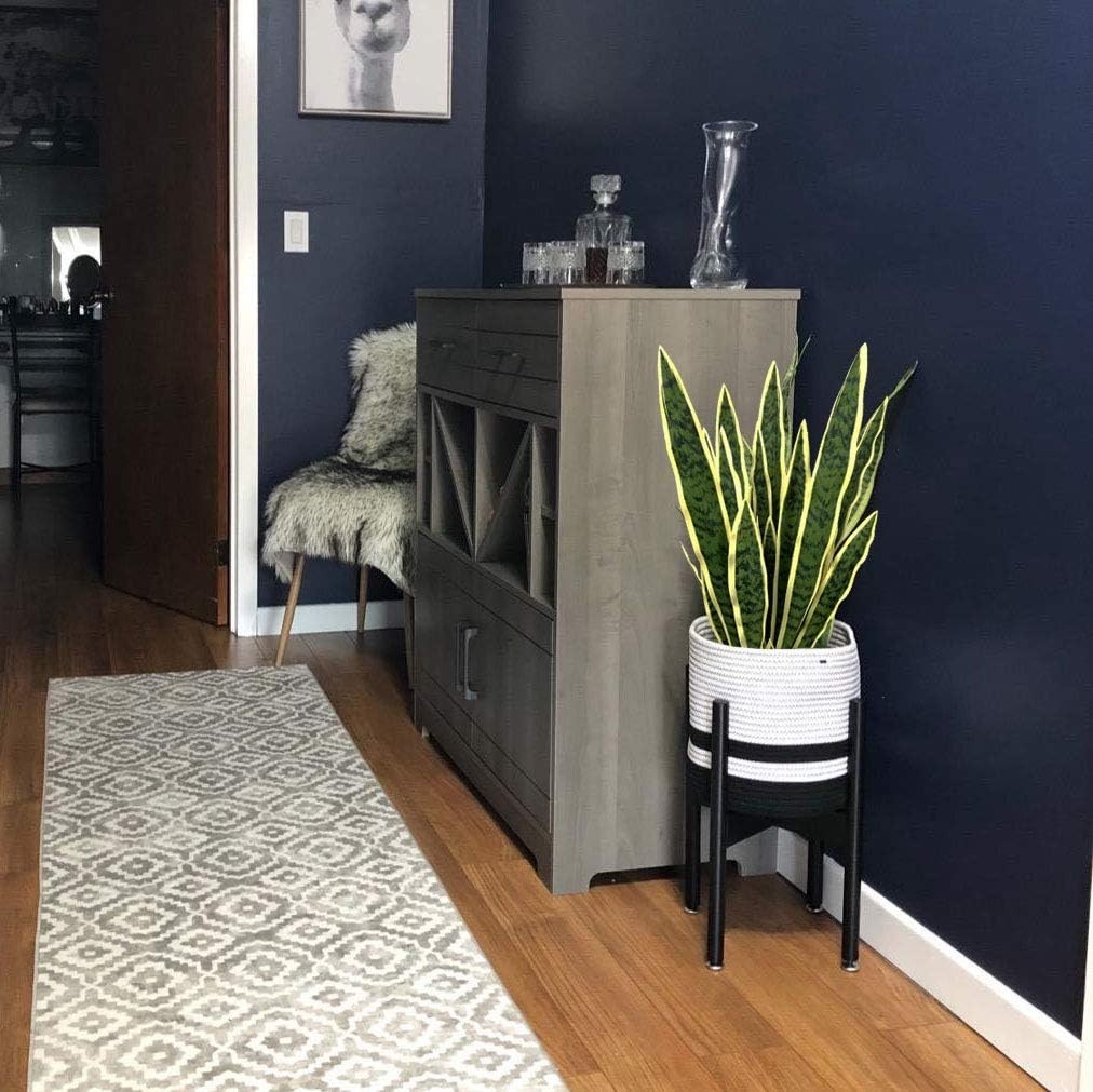 Realistic Faux Sansevieria Plants Set – Home Office Greenery