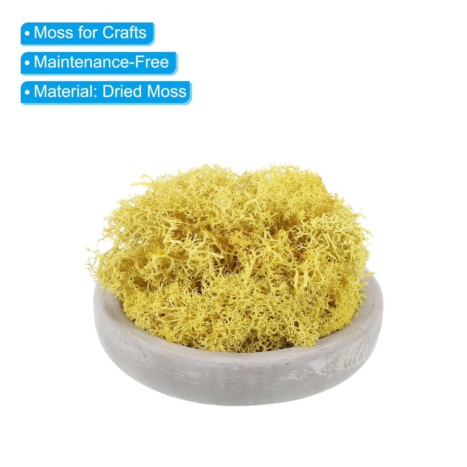 7 OZ Fake Moss, Preserved Decorative Moss with Box for Potted Plants, Yellow