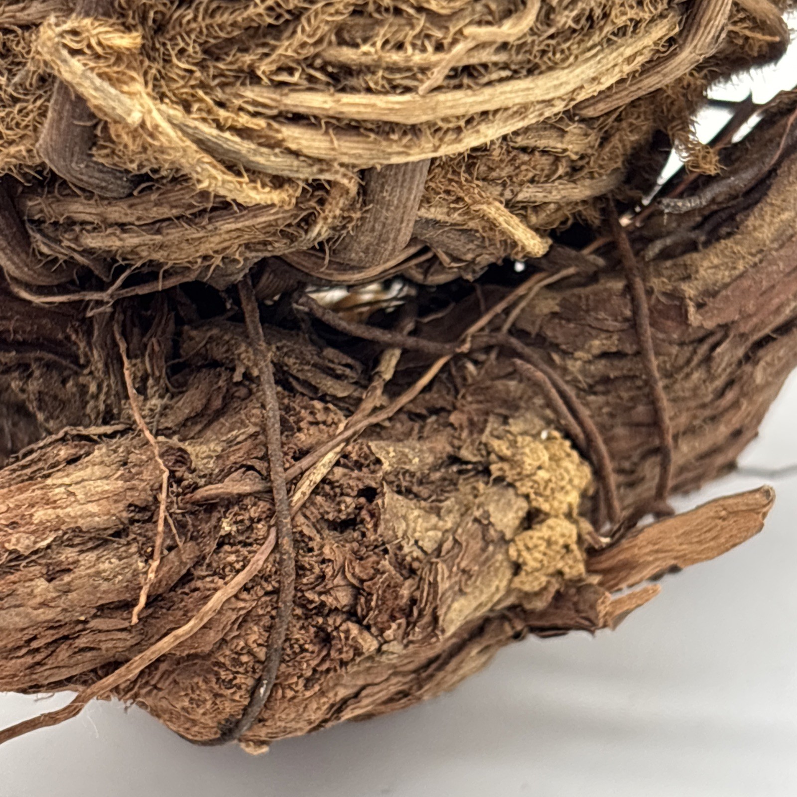 Bird nest Garden decorations, home, floral accent, crafts, center piece