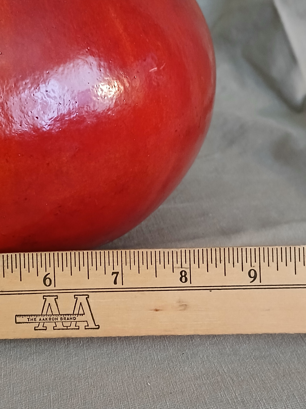 Large Apple Fall Perfect Natural Gourd Dried Decor Painted Red6 x 8 in