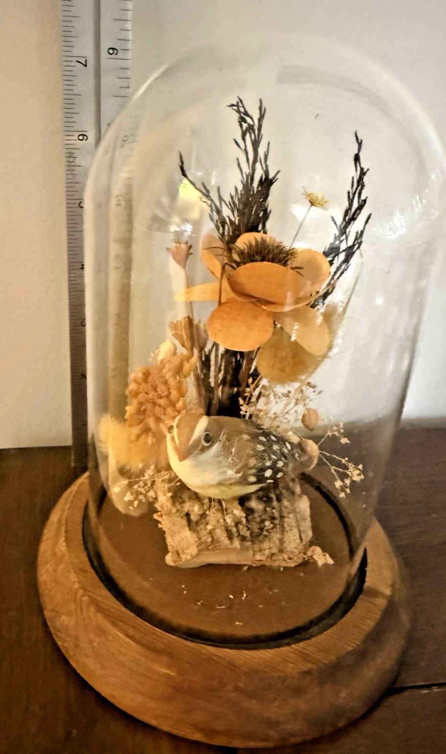 Vintage Hand Made Dried Floral & Bird Diorama / Terrarium Glass Dome Display