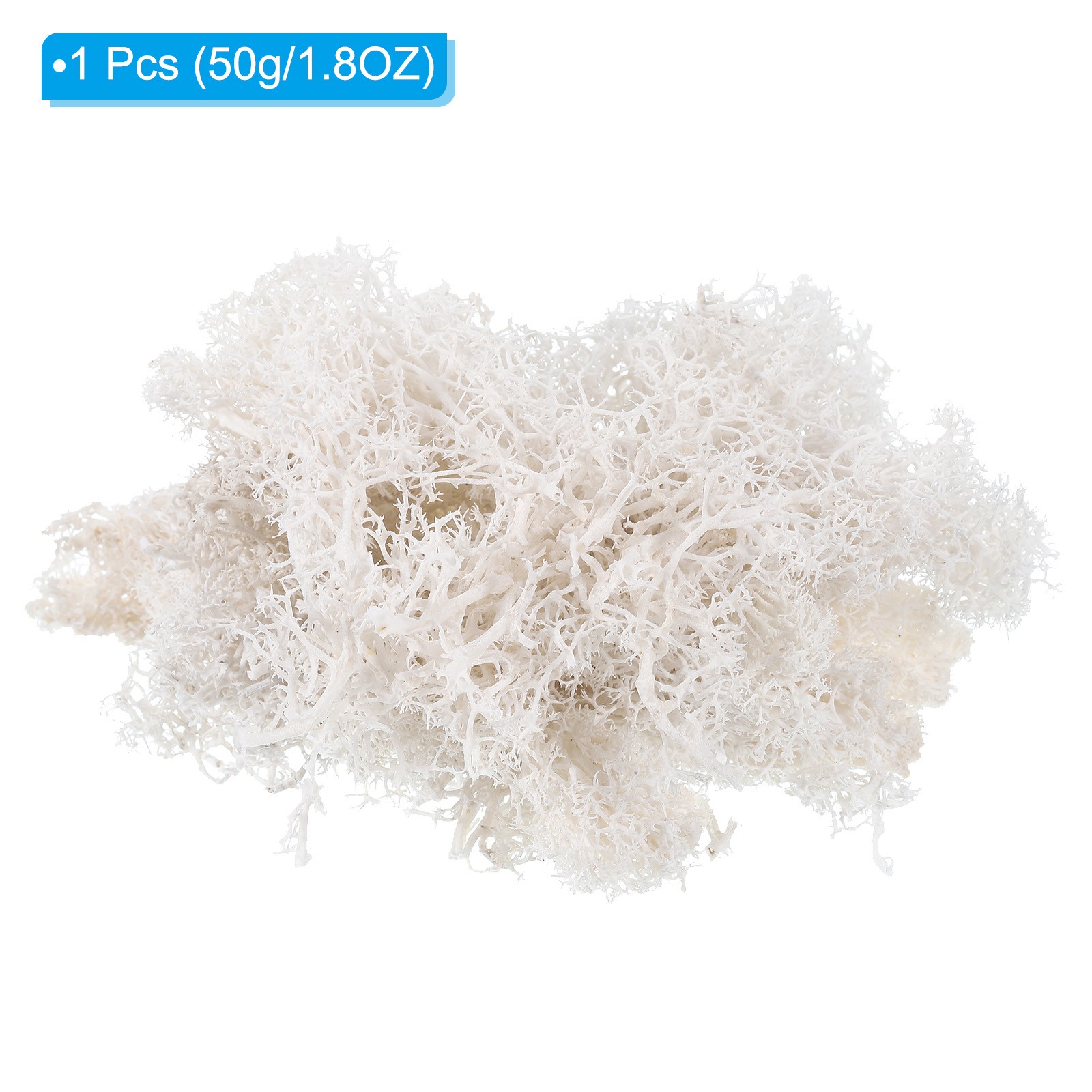 1.8 OZ Fake Moss Preserved Reindeer Moss Artificial Moss Lichen White