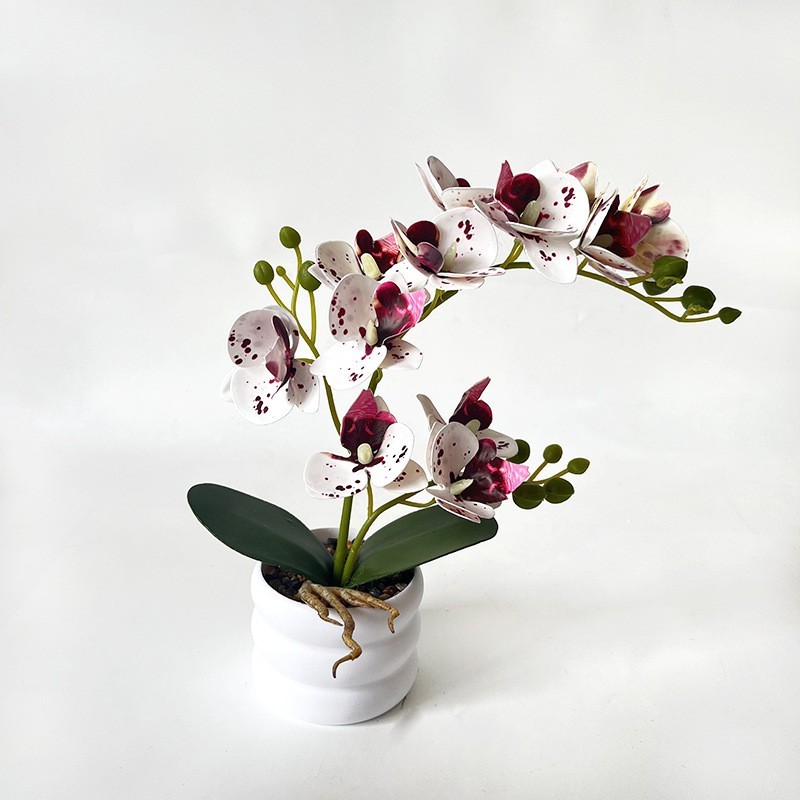 Elegant Floral Display Faux Phalaenopsis Orchid Dust Resistant 12-bloom Design