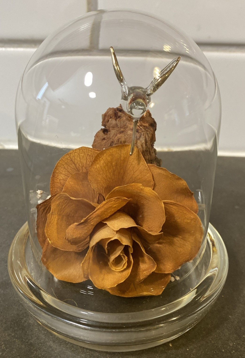 Colorado Naturals Dried Rose Floral Glass Dome Display with Glass Humming Bird