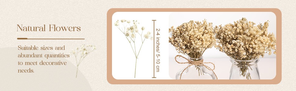 50 Pcs Mini Dried Baby Breath Flowers 3000+ Wedding Ivory White Flowers Bulk 2-4