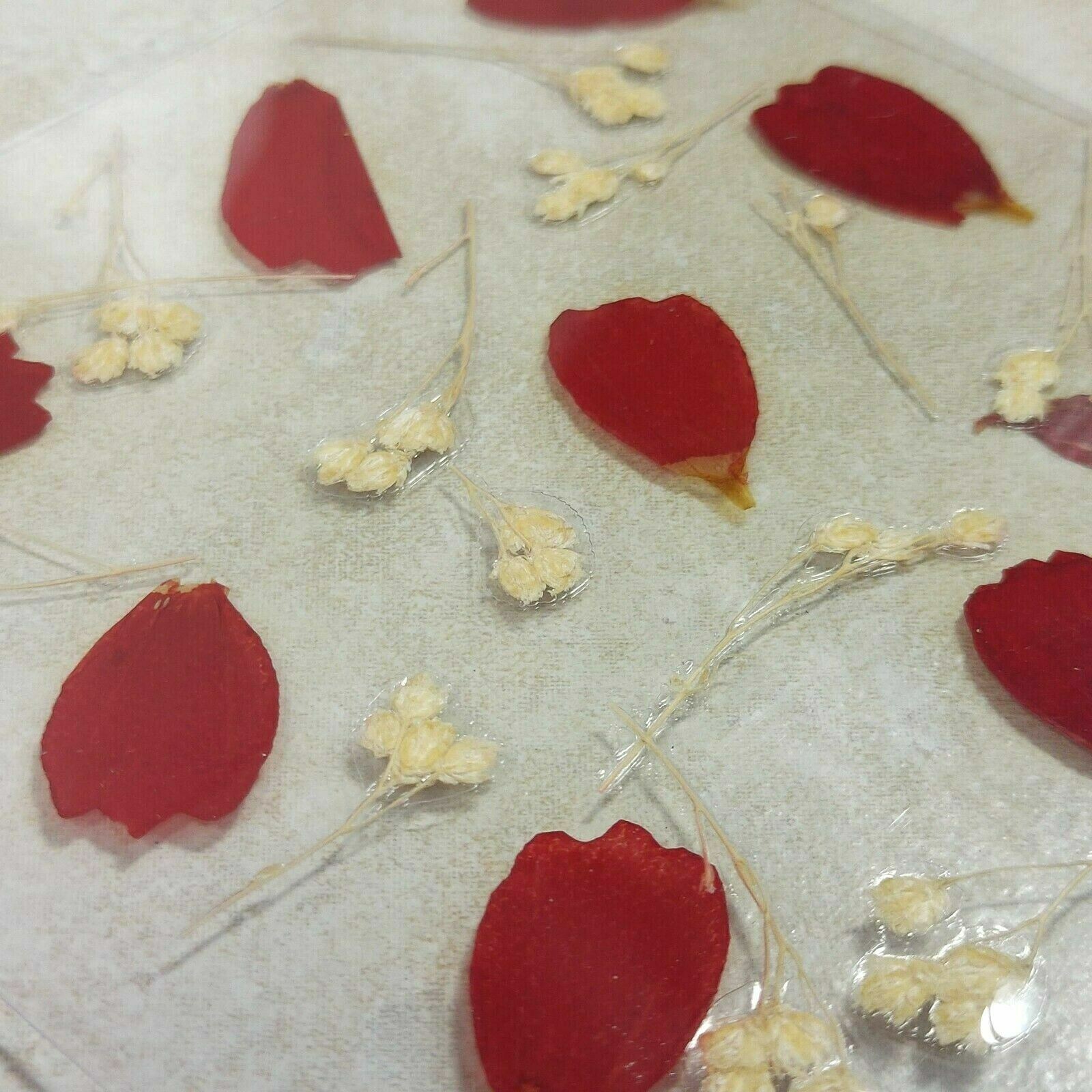 Dried Pressed Flowers Natural Flower Petal Set Resin Art Design Home Décor Gift