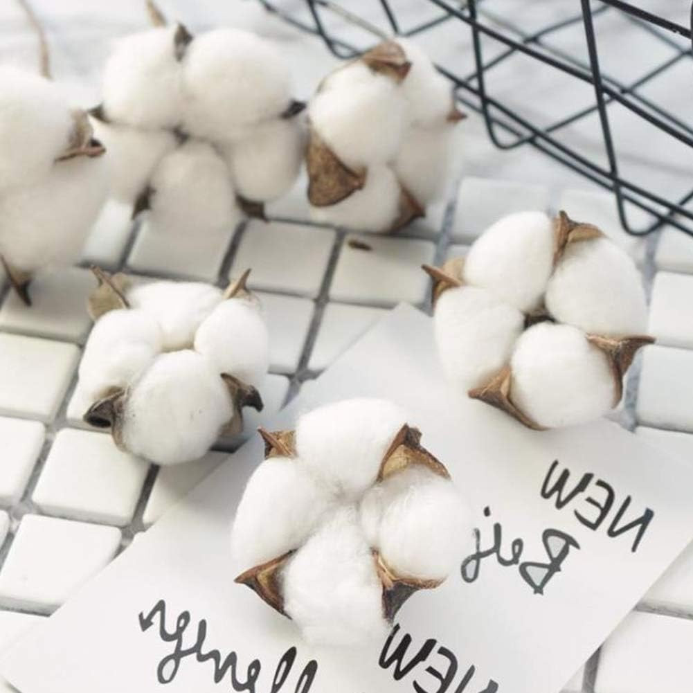 Cotton Stems 8 Packs with 15 Bolls, Natural Dried Flowers Cotton Sprigs for Vase