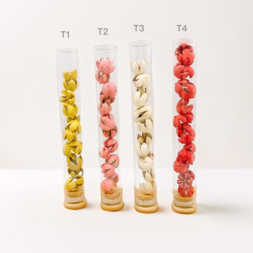 Plant specimens handmade test tube dried flowers immortal flowers holiday birthd