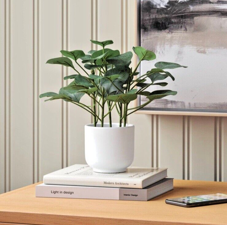 Artificial Eucalyptus Plant 10″ Tall White Pot Office Dorm Kitchen Room Decor