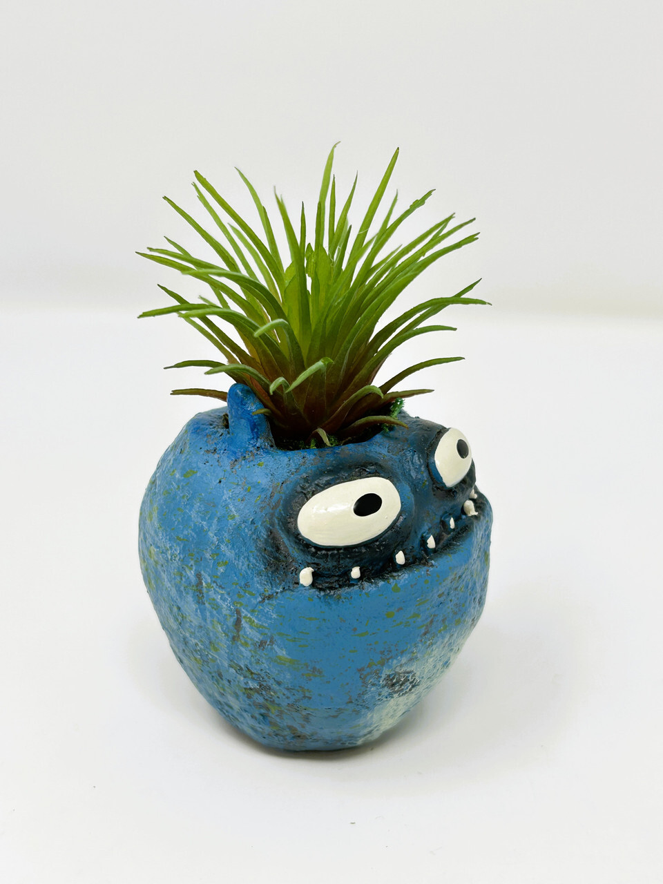 4 in. Potted Blue Monster MURPHY Blob House Mini pot WITH faux Ionantha Air plan