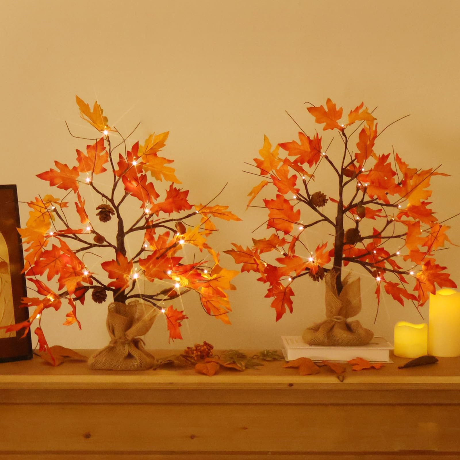 2 Pack 2 FT Fall Maple Tree Lights, 24 LED, USB/Battery, Acorns, Pine Cones