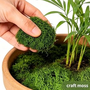 Fake Moss for Plants Indoor, 7OZ Dual-Color Artificial Moss for Crafts,