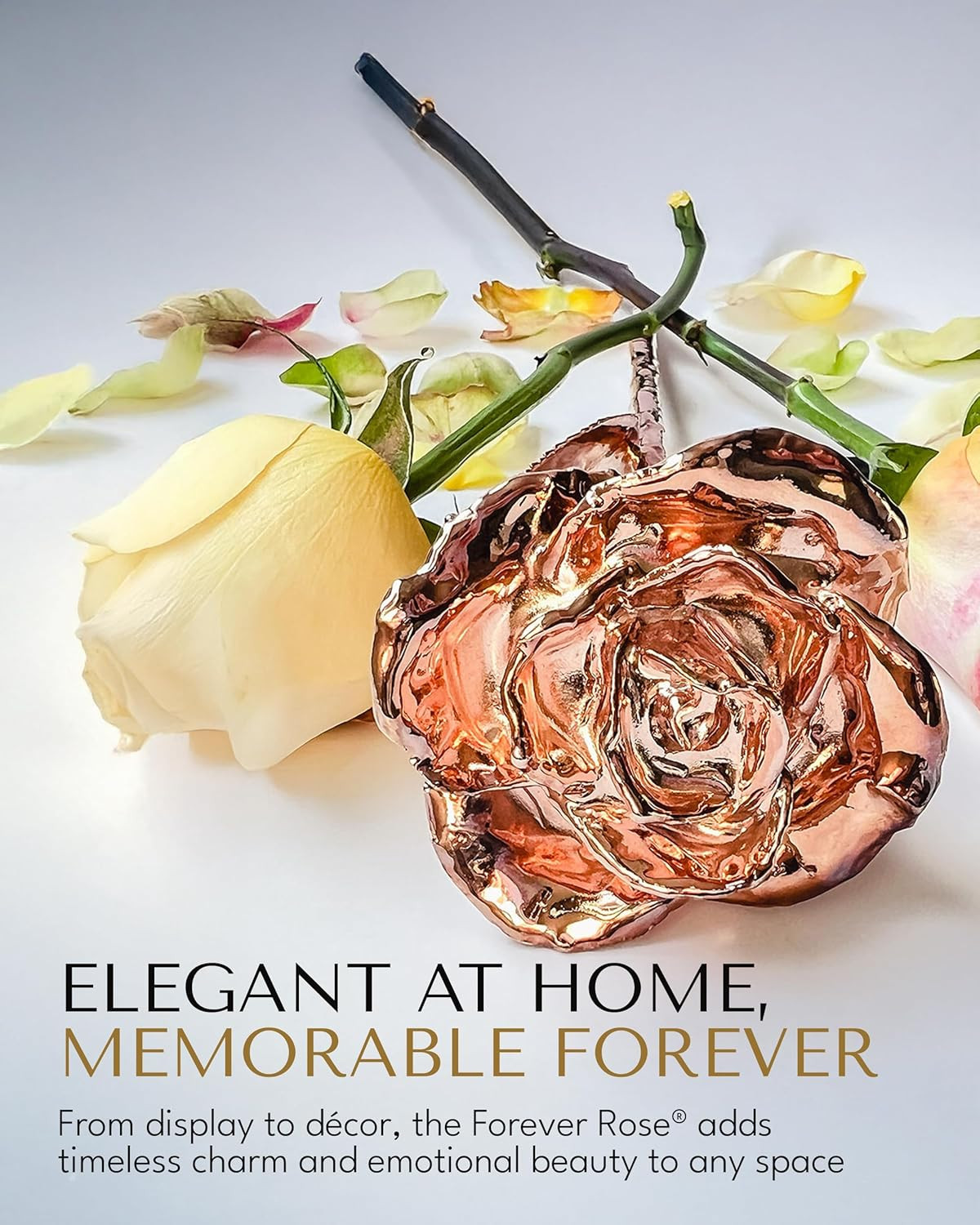 Real Rose Dipped in Rose Gold, Handcrafted Preserved Rose in Luxury Gold Gift Bo