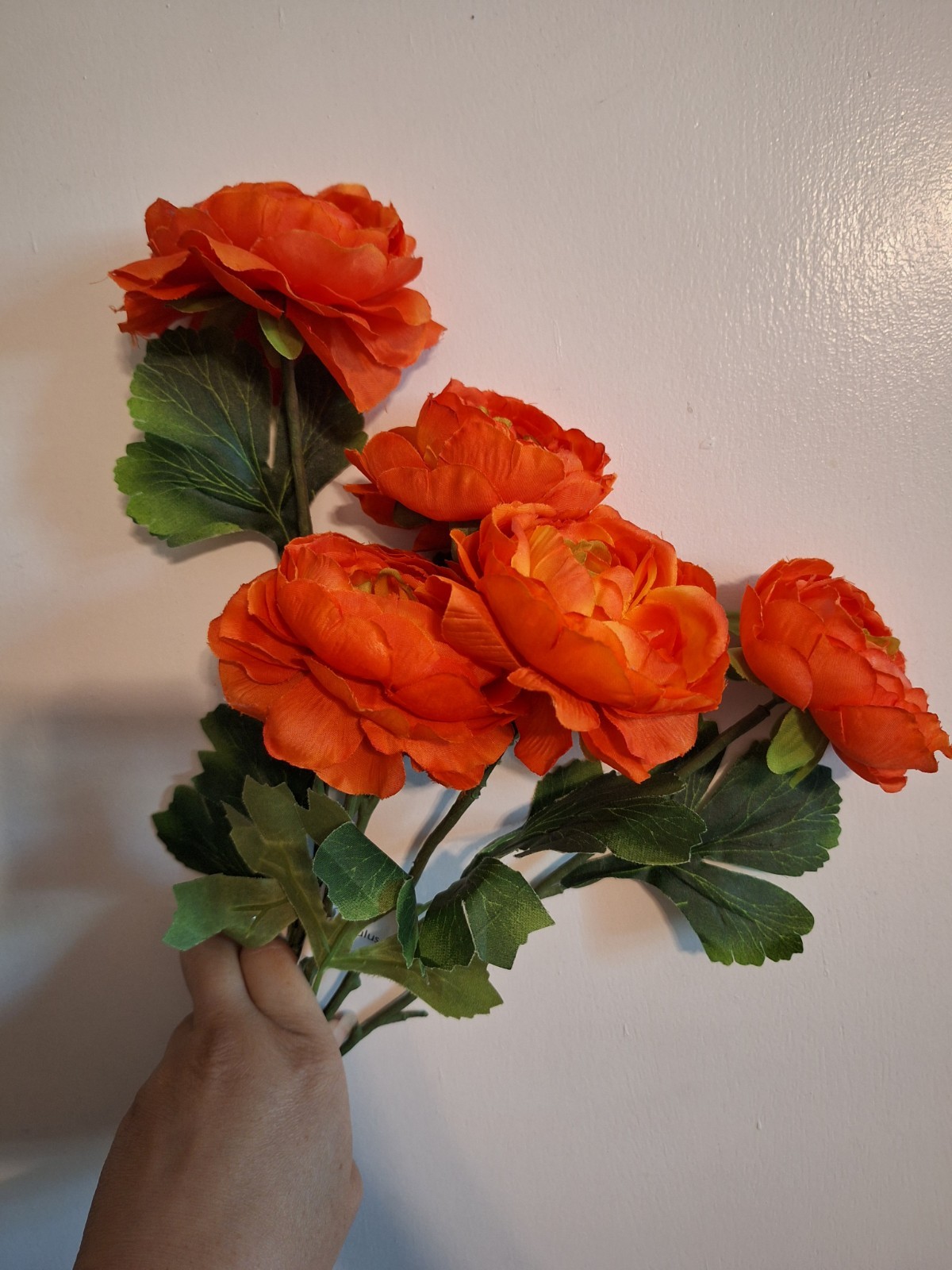 Ranunculus Flower Bouquet Stem New 19″ Tall Fall