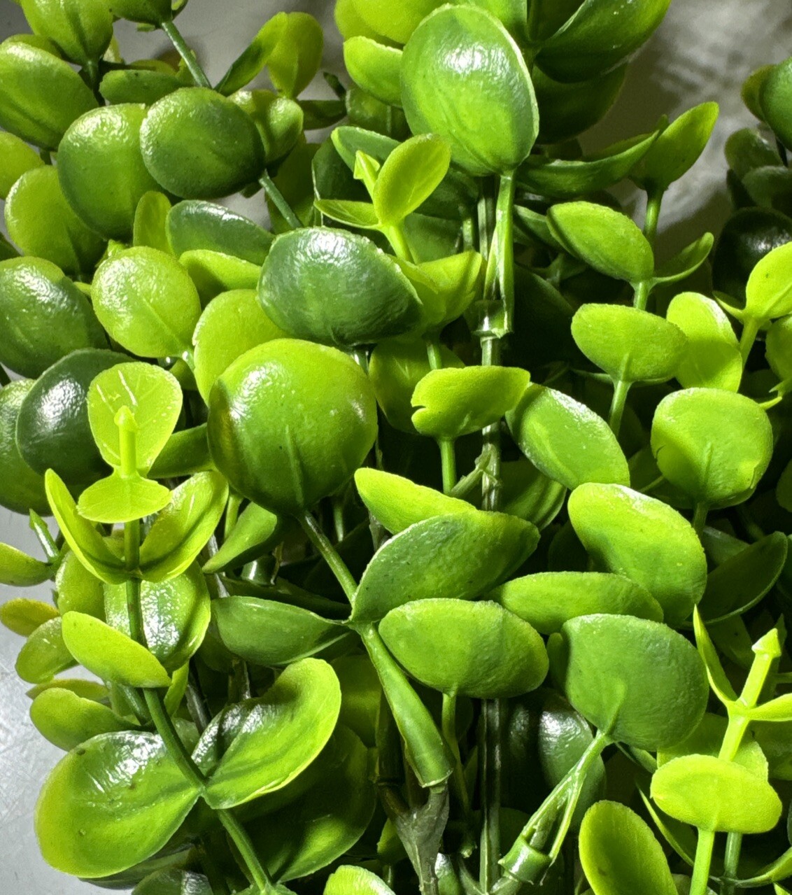 6pc Artificial Greenery Plants Plastic Boxwood Shrubs Stems For Home 2 Types