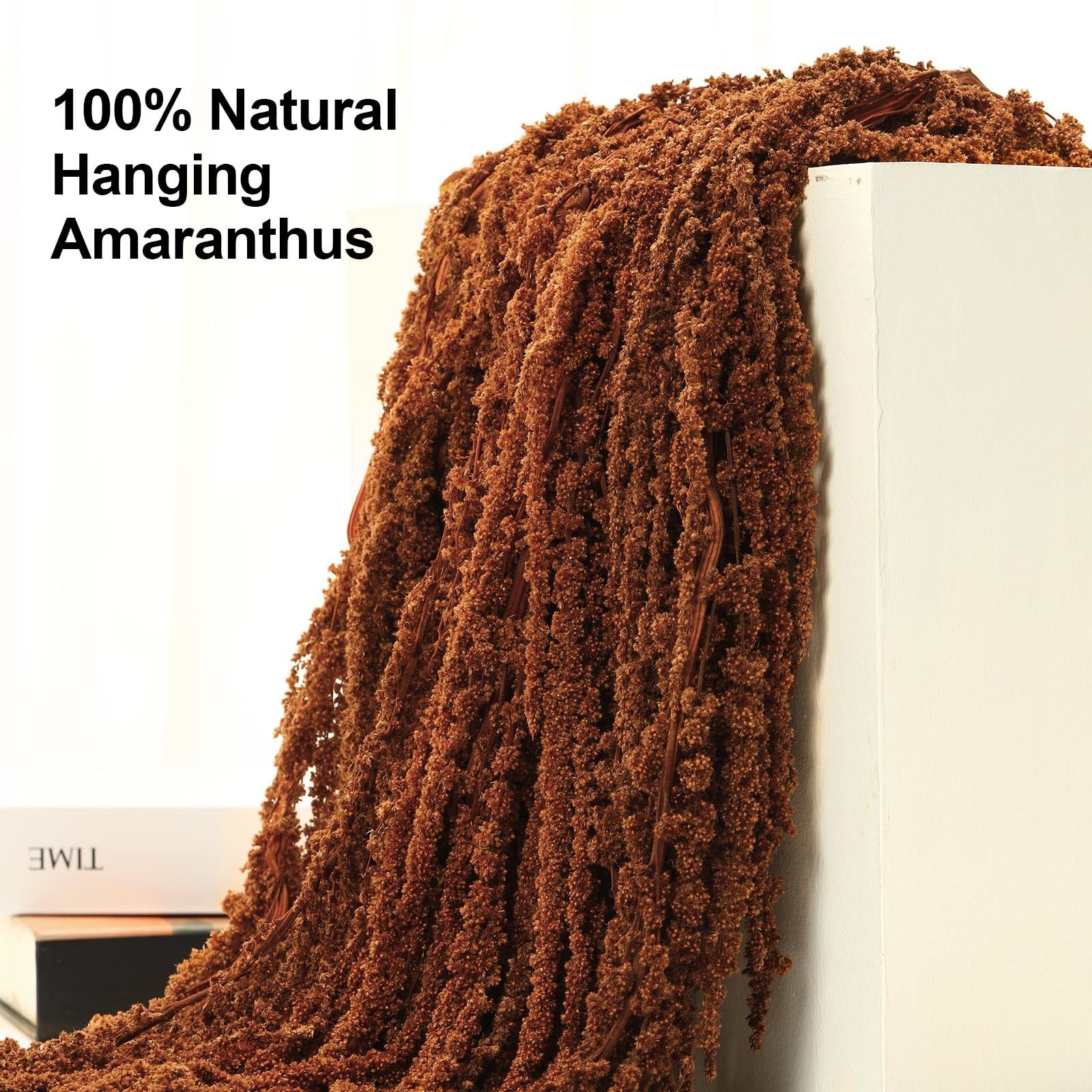 5 PCS Dried Amaranthus Hanging Flowers Natural Preserved Brown 24 Inch