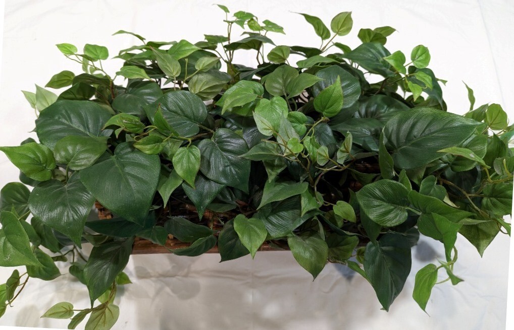 Indoor 19in. artificial green ficus ledge silk plant in basket