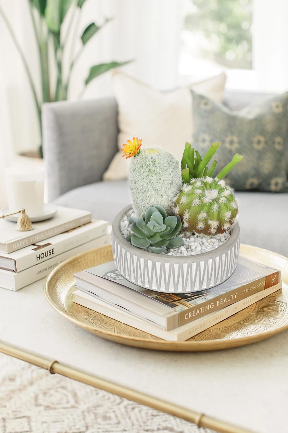 Artificial Cactus Plants Indoor, 5.5″ Assorted Small Faux Succulent in Pots F…