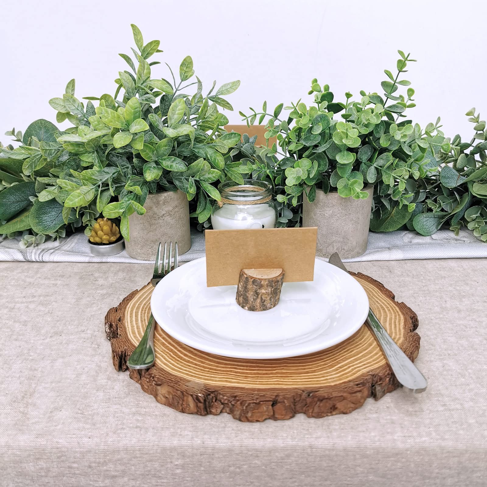 Set of 2 Faux Mini Potted Plants Artificial Eucalyptus Boxwood Plants in Pots…