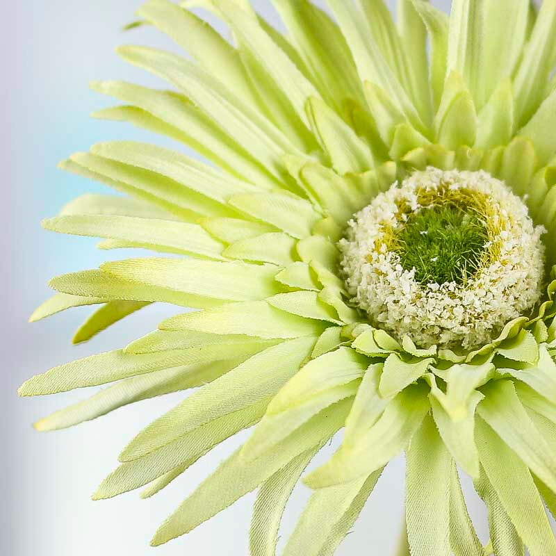 Set of 4 Artificial Key Lime Green Spider Daisy 25″ Floral Stems