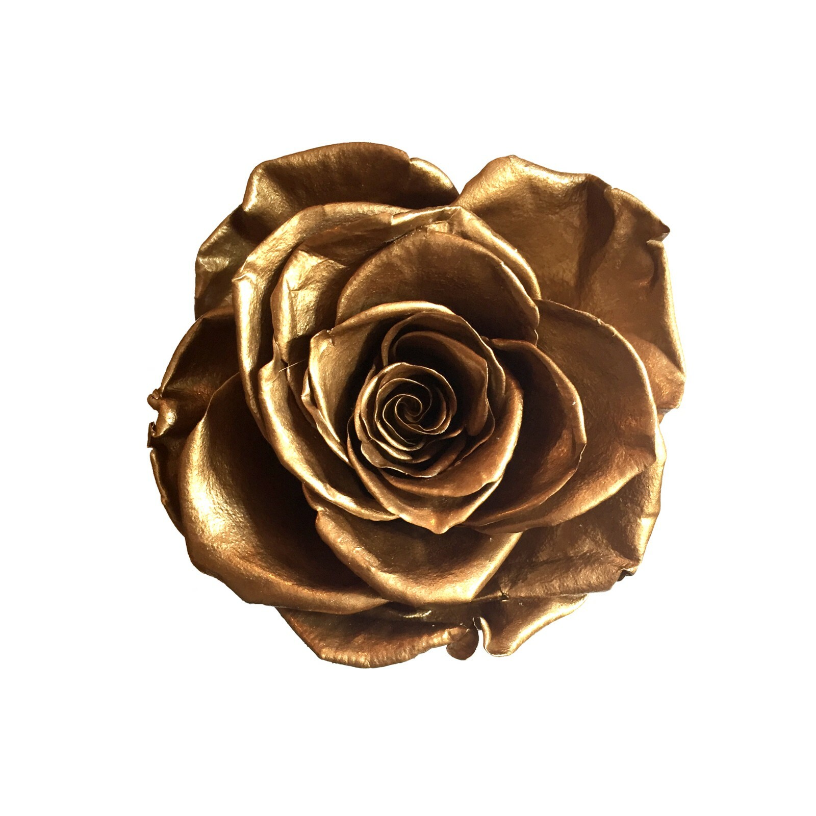 Personalized Single Long Lasting Gold Rose In Black Suede Box