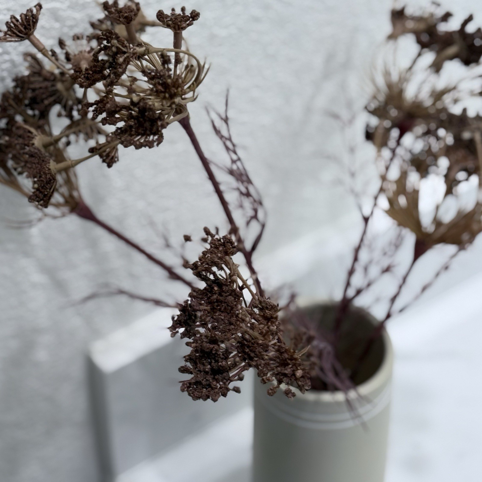 Hearth & Hand with Magnolia Queen Anne’s Lace Ceramic Tabletop Faux Floral Plum