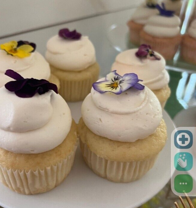 Fresh Edible Garnish Flowers-Bright Pansies Overnight Free Shipping WEDNESDAYS