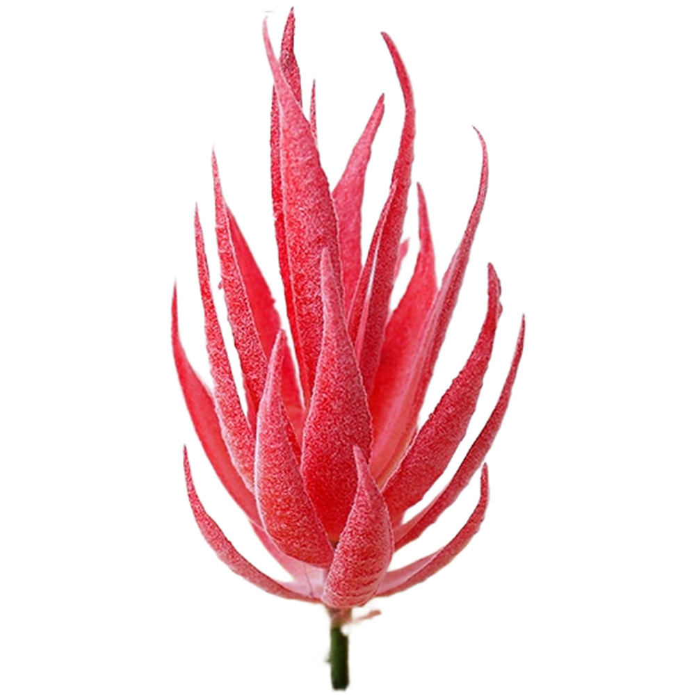PVC Fake For zebra Aloe Plant for DIY Interior Wall Decor Home Office 12cm Tall