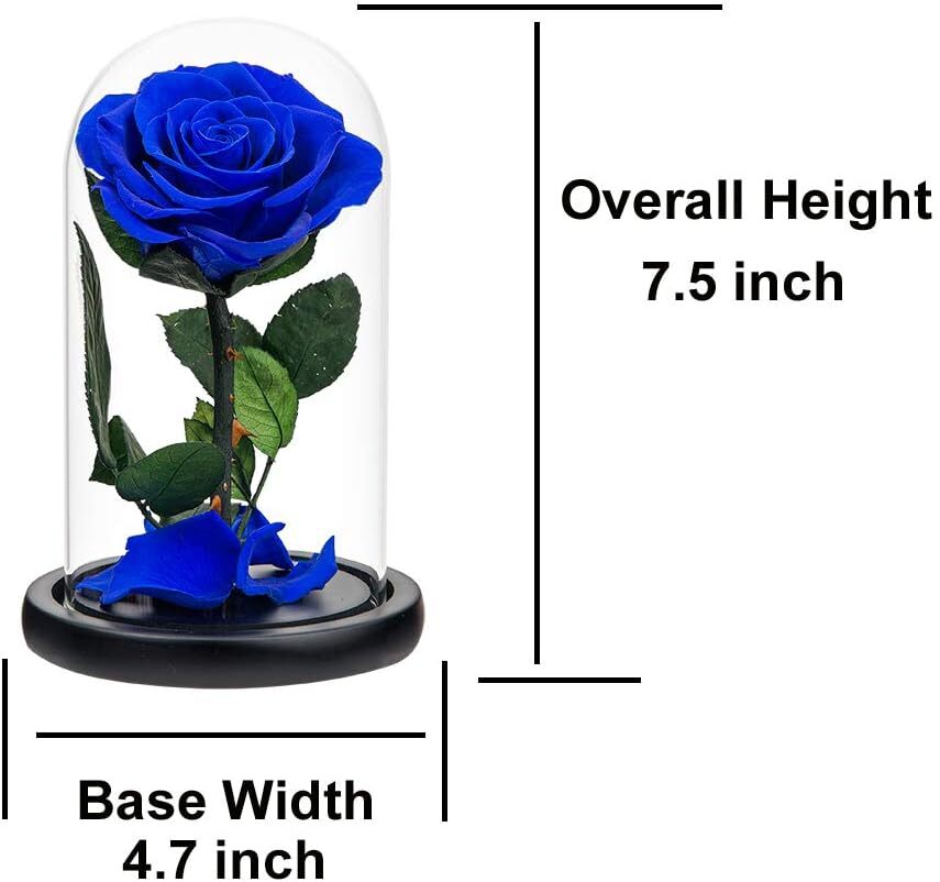 Medium Royal Blue Preserved Rose In Glass Dome Gift For Women