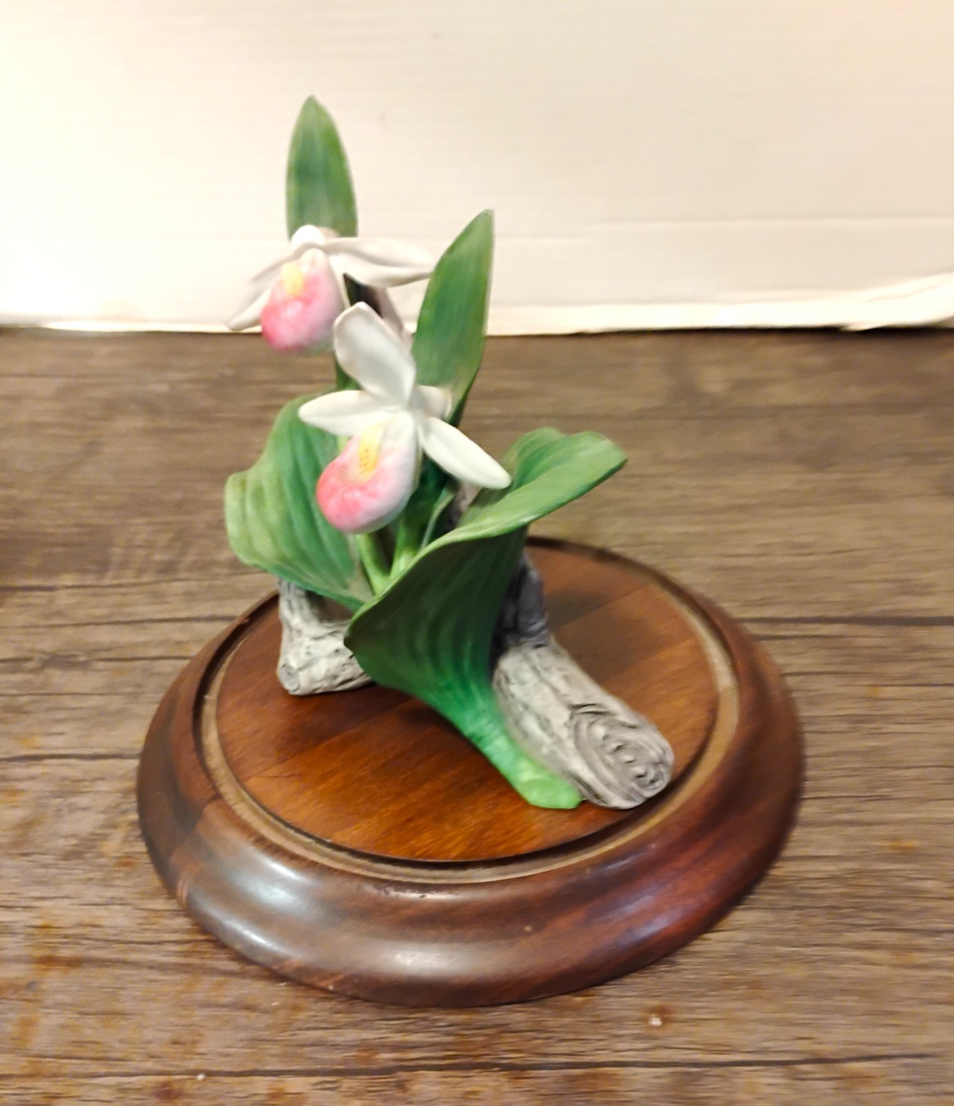 Bisque ‘Lady Slipper’ Cluster Celebrating Bachman’s Floral 100th Anniversary