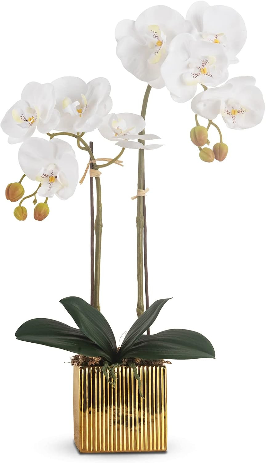 Realistic White Orchid Flowers in Ceramic Pot for Home Decor Centerpiece