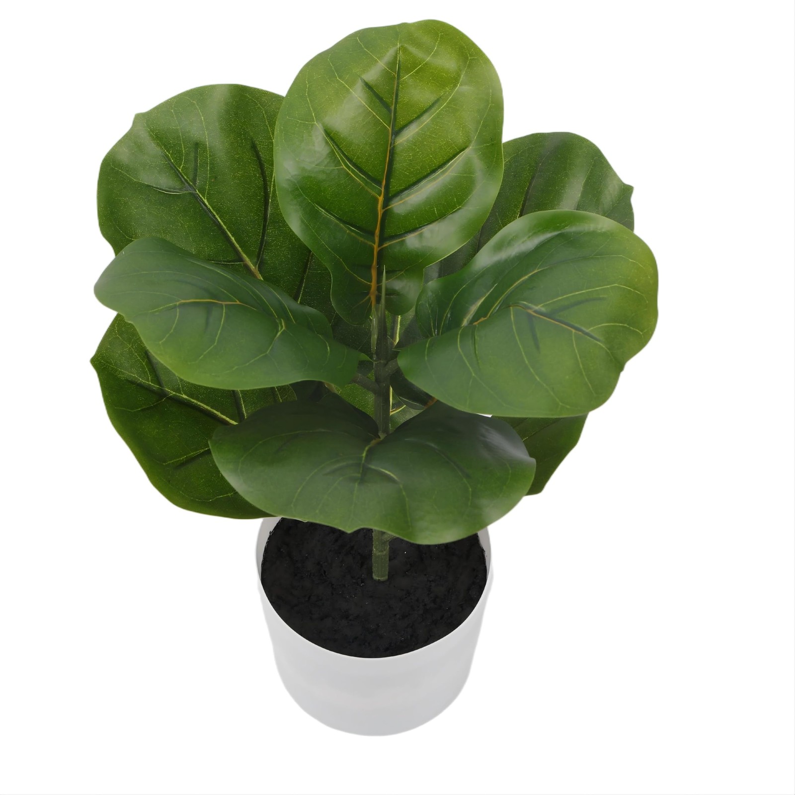 Alupssuc 1.5FT Artificial Fiddle Leaf Fig Tree with White 1ft 6in, Green