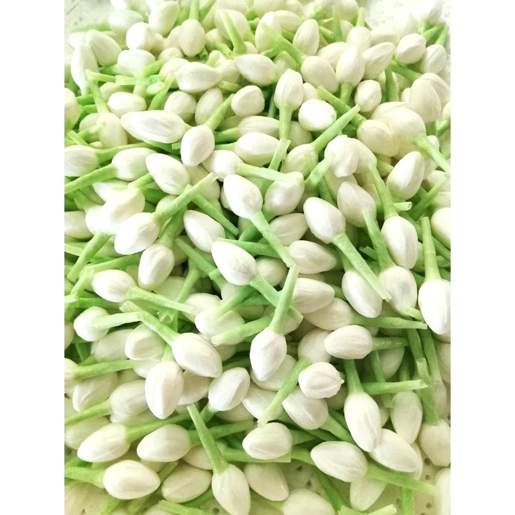 500 Jasmine Flowers Blossom Thai Artificial D.I.Y Handcrafts Malai Decorative