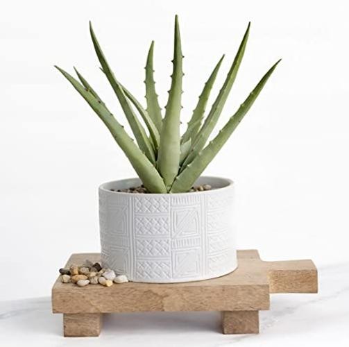 Artificial Plant in White Ceramic Pot | 10″ high sage Green Faux Agave Plant
