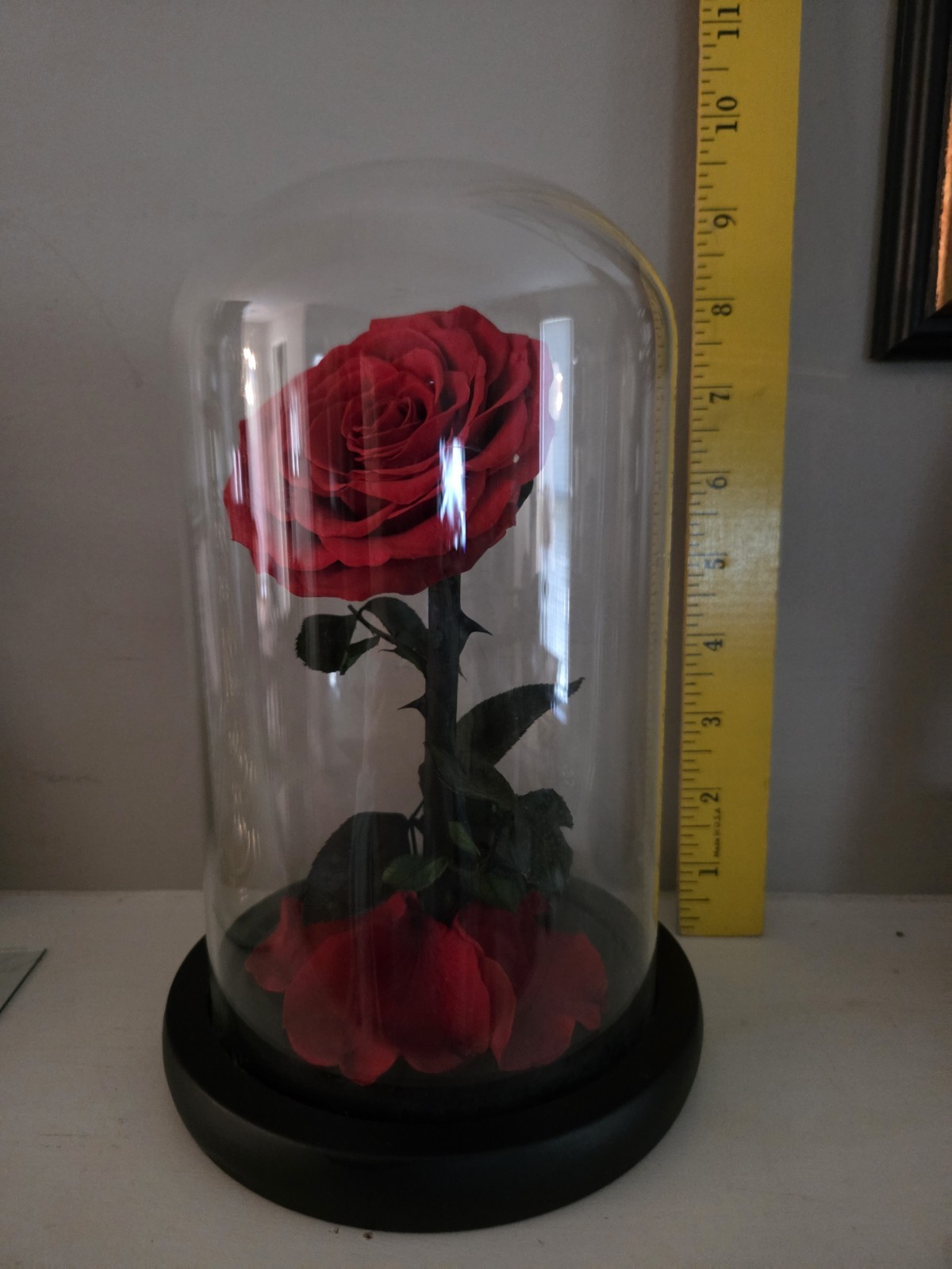 Forever Preserved Rose – Eternal in Dome-Box Mother Day Anniversary Romance Love