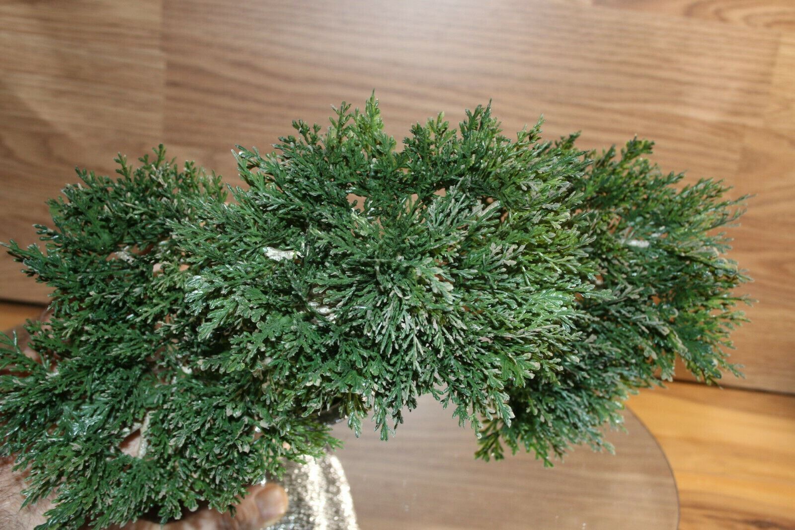 Bonsai Faux Japanese Pine Fake Tree 10x12x6″ Never Dies Cool Home Decor
