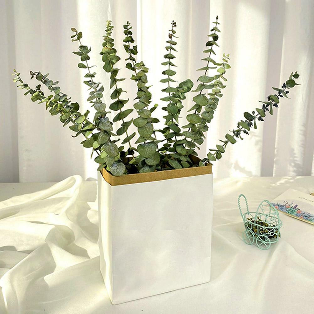 10pcs Natural Dried Flower Eucalyptus Branches Leaves Home Decors Bouquet