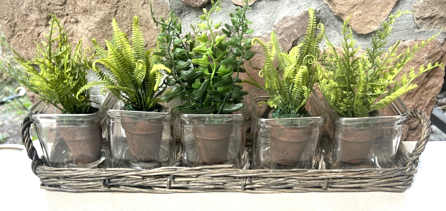 Tabletop Garden Mini Faux Fern Clay Pots With Rattan Wicker Tray & 5 Glass Vases
