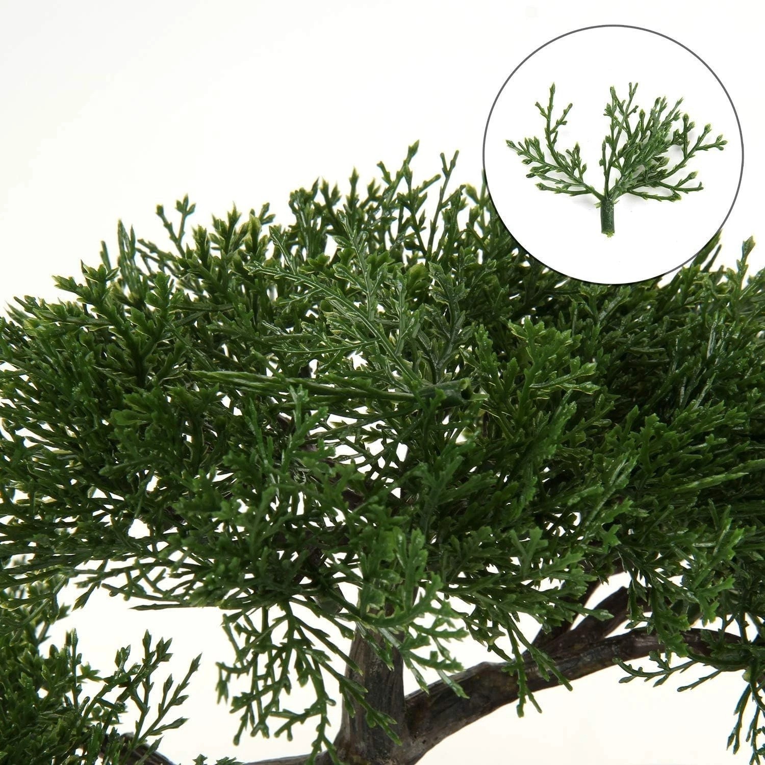 Indoor Mini Bonsai Tree with Ceramic Pot^-“