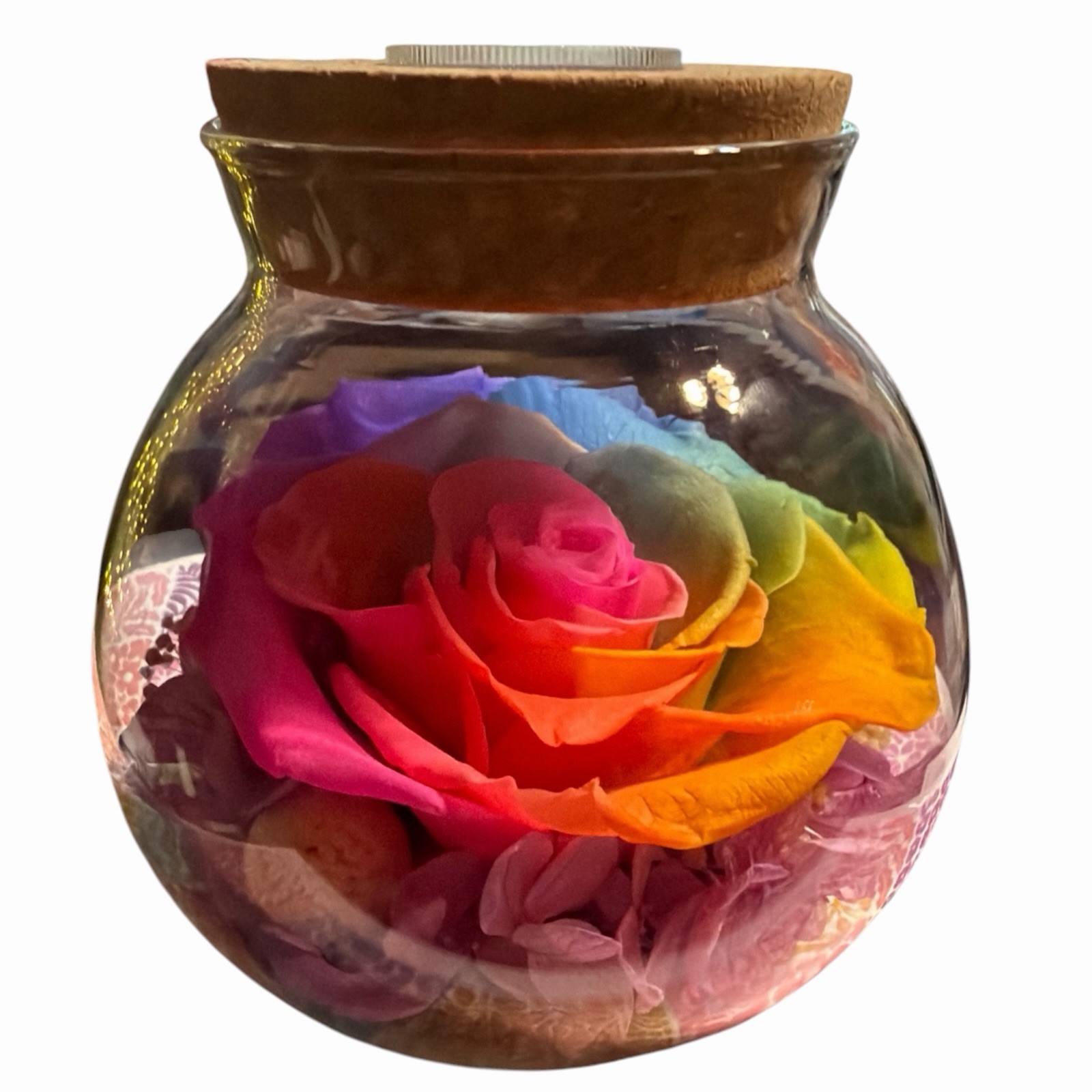 Real Preserved Rose Globe Eternal Rose Multicolor With Light Forever Flowers