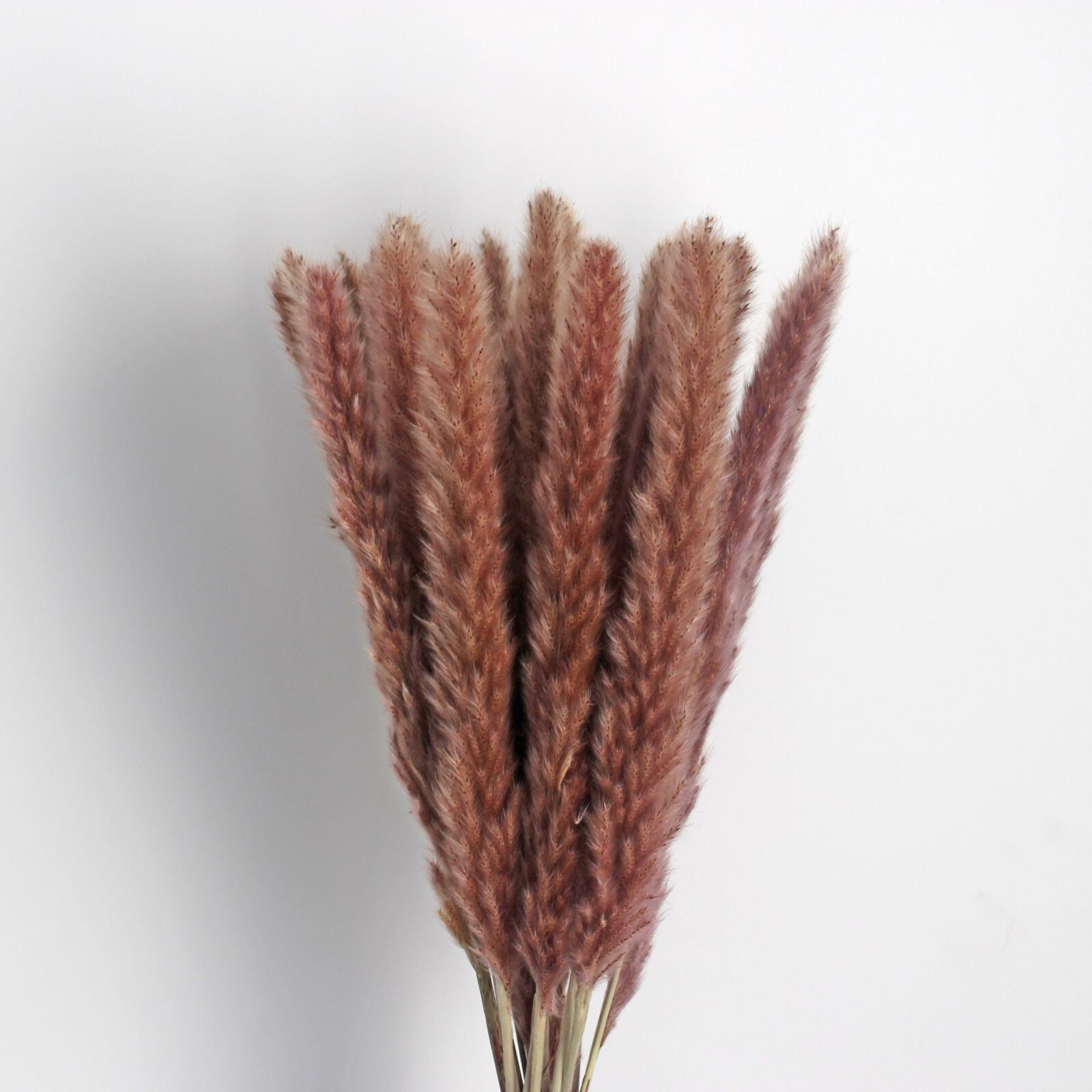 45PCS Natural Dried Pampas Grass 24 In. Reed Flower Wedding Bouquet Home Decors