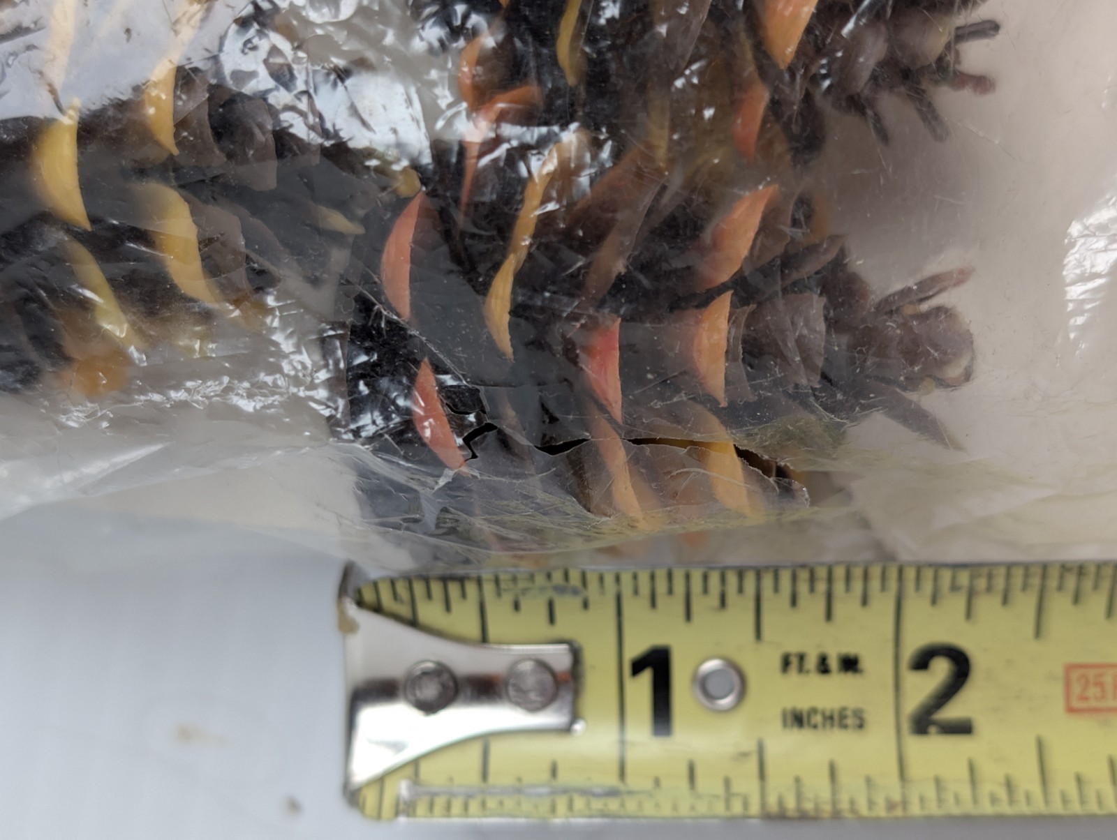 Lot Of 10 Vintage RNW Plastic Pinecones – Brown, Yellow, Orange Original Package