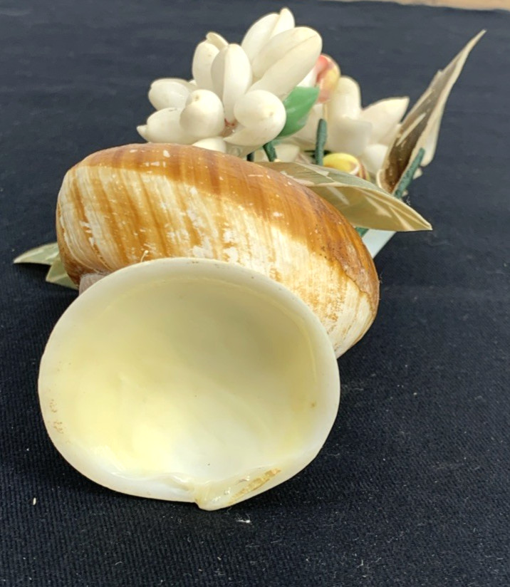Seashell Flower Bouquet Table Top Hand made 8″ Tall Vintage