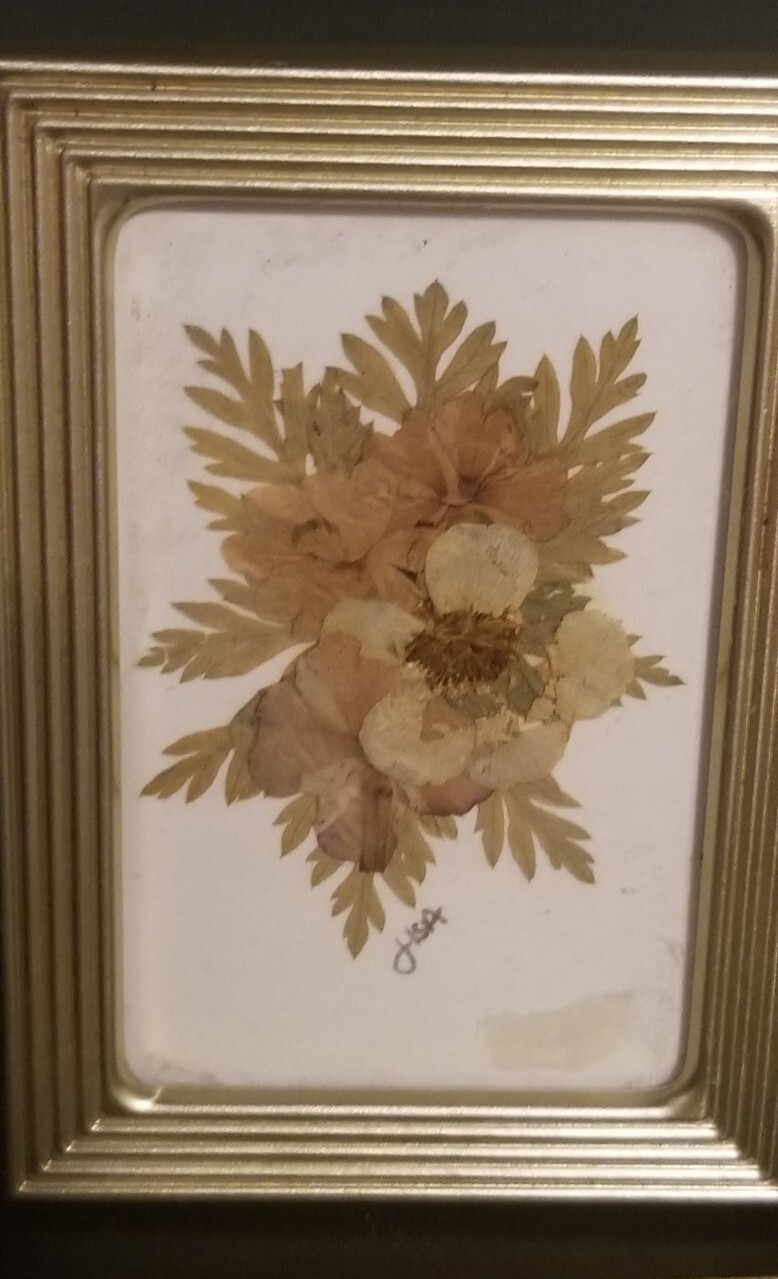 Small 2 3/8″ X 3 3/8″ Press Dried Flower #7 Multicolors Framed FF25