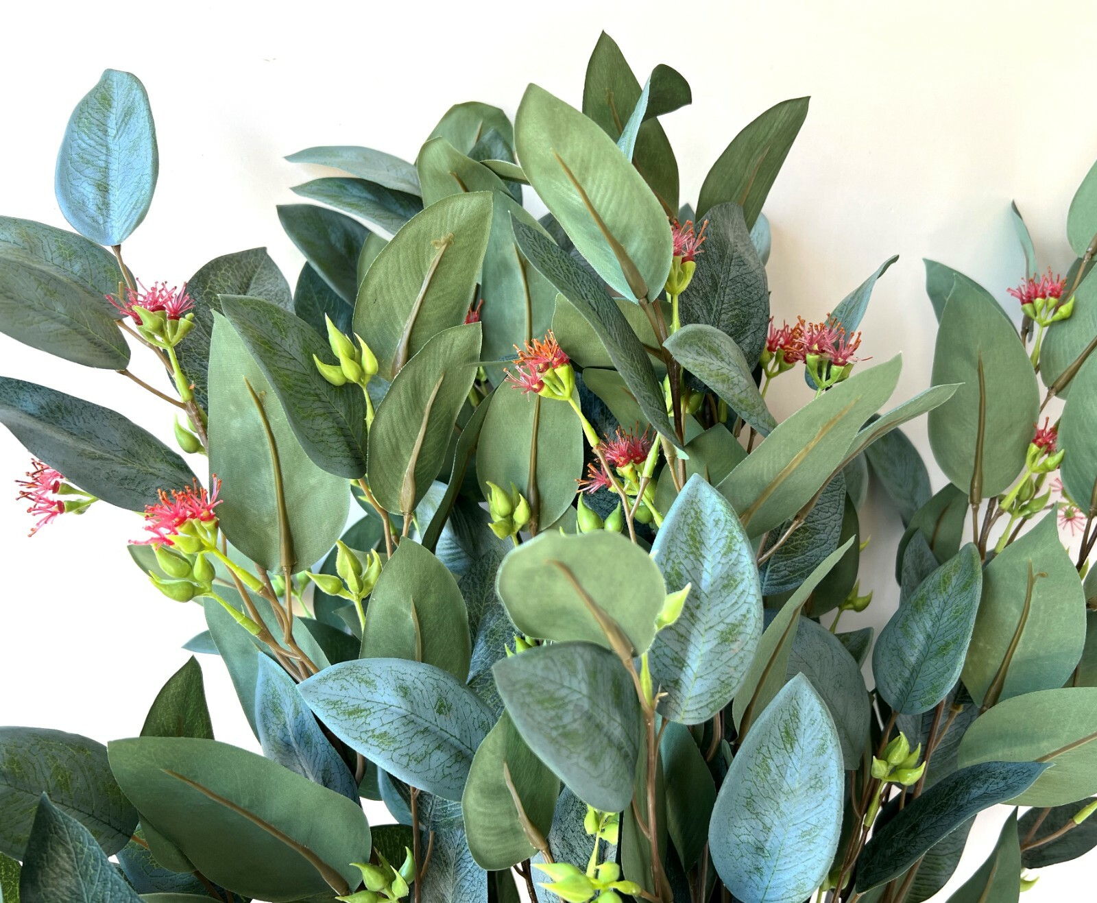 Australian Native Flowers Eucalyptus Blossom Greenery Stem Latex leaf Foliage x1